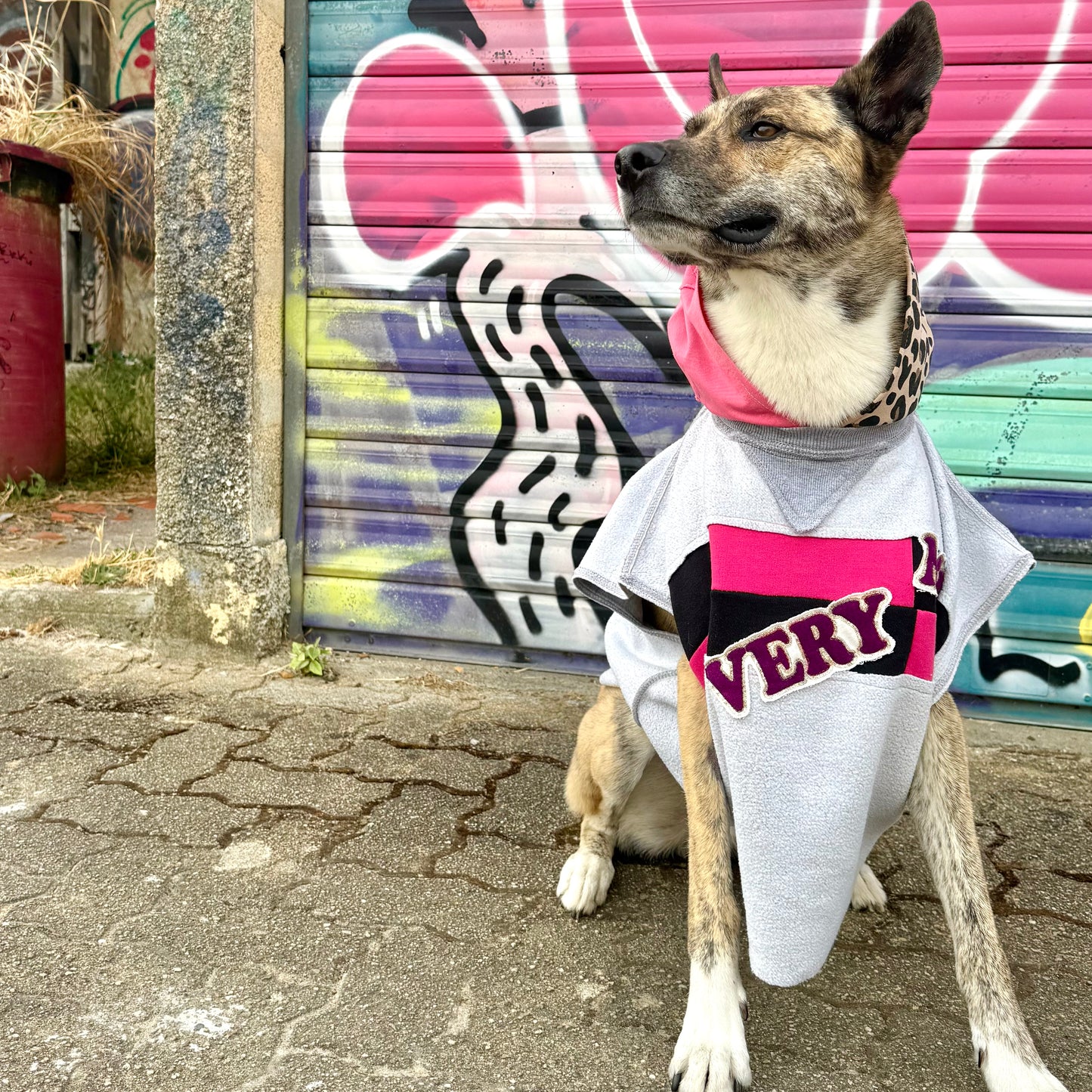 Dog Hoodie ALPHA GLAM PAWD — Size L/XL