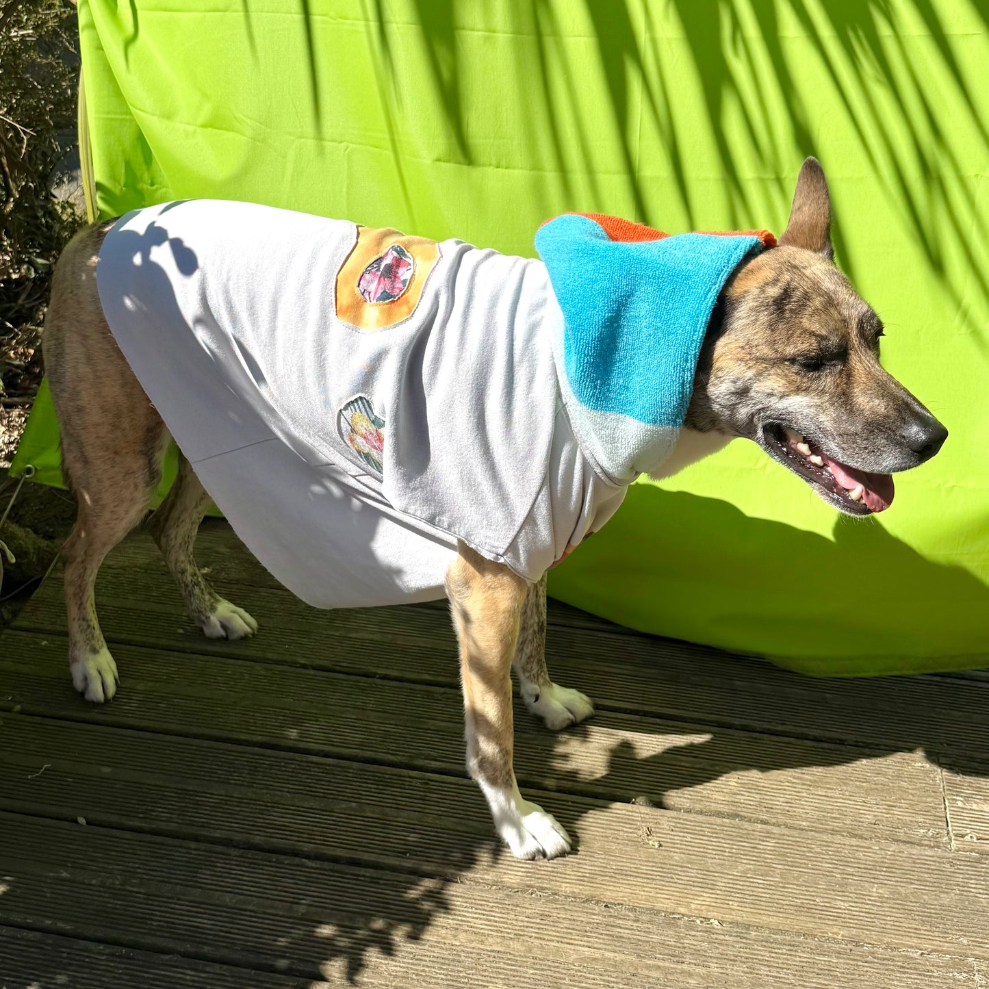 Dog Hoodie BUDDHA — Size M/L