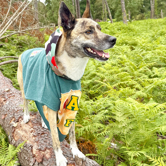 Dog Hoodie READY FUREVER — Size XL/2XL
