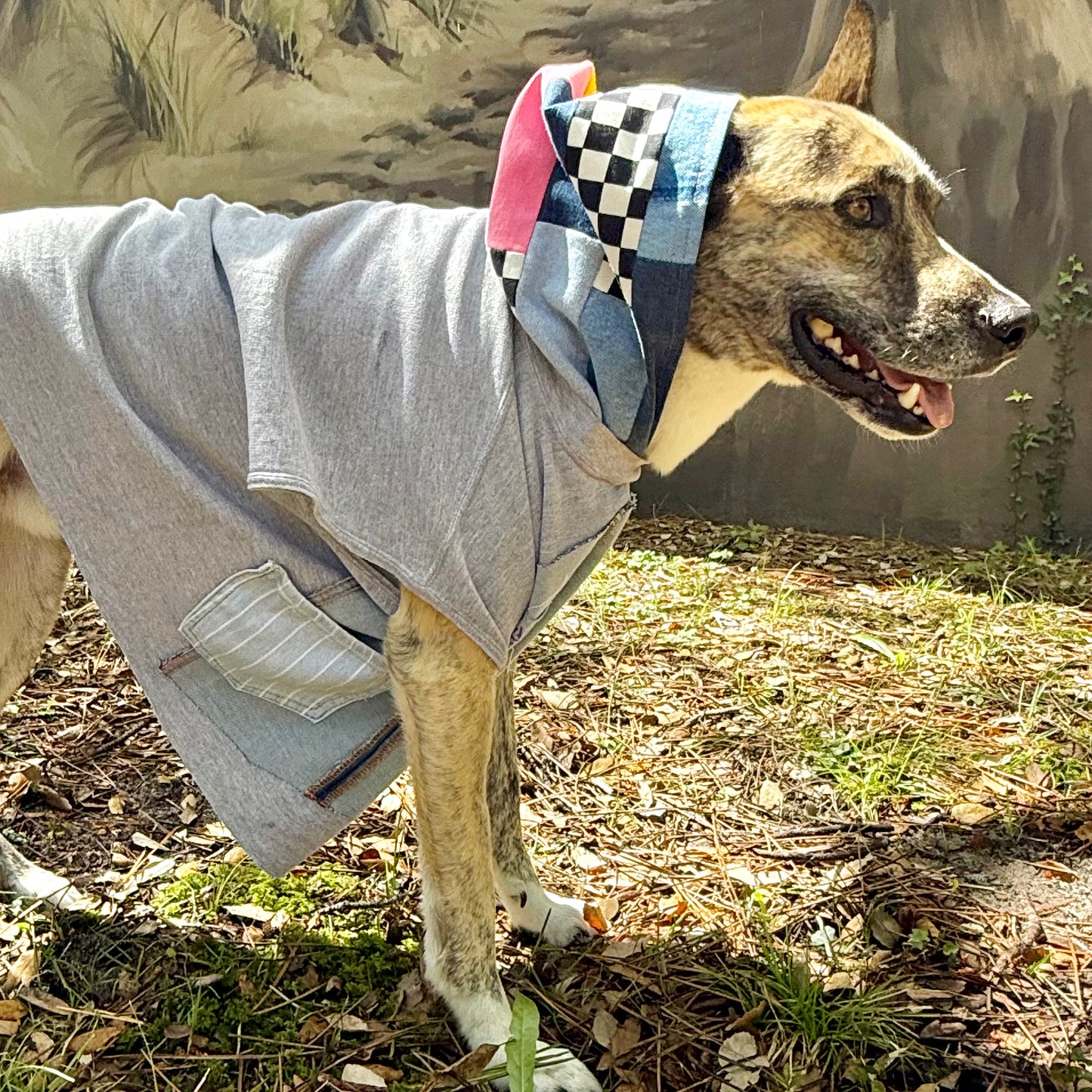 Dog Hoodie MISTY — Size M/L