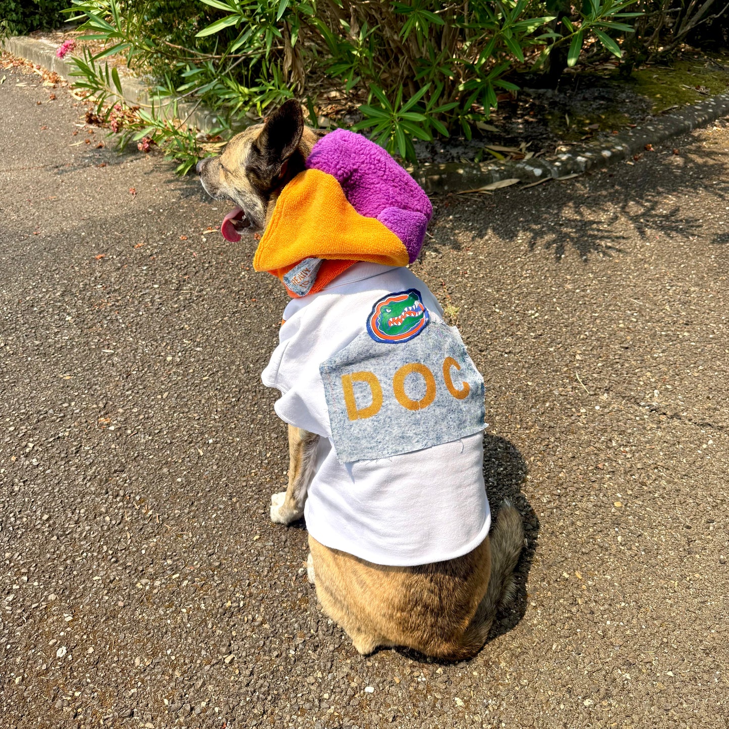 Dog Hoodie NEGRITA — Size M/L