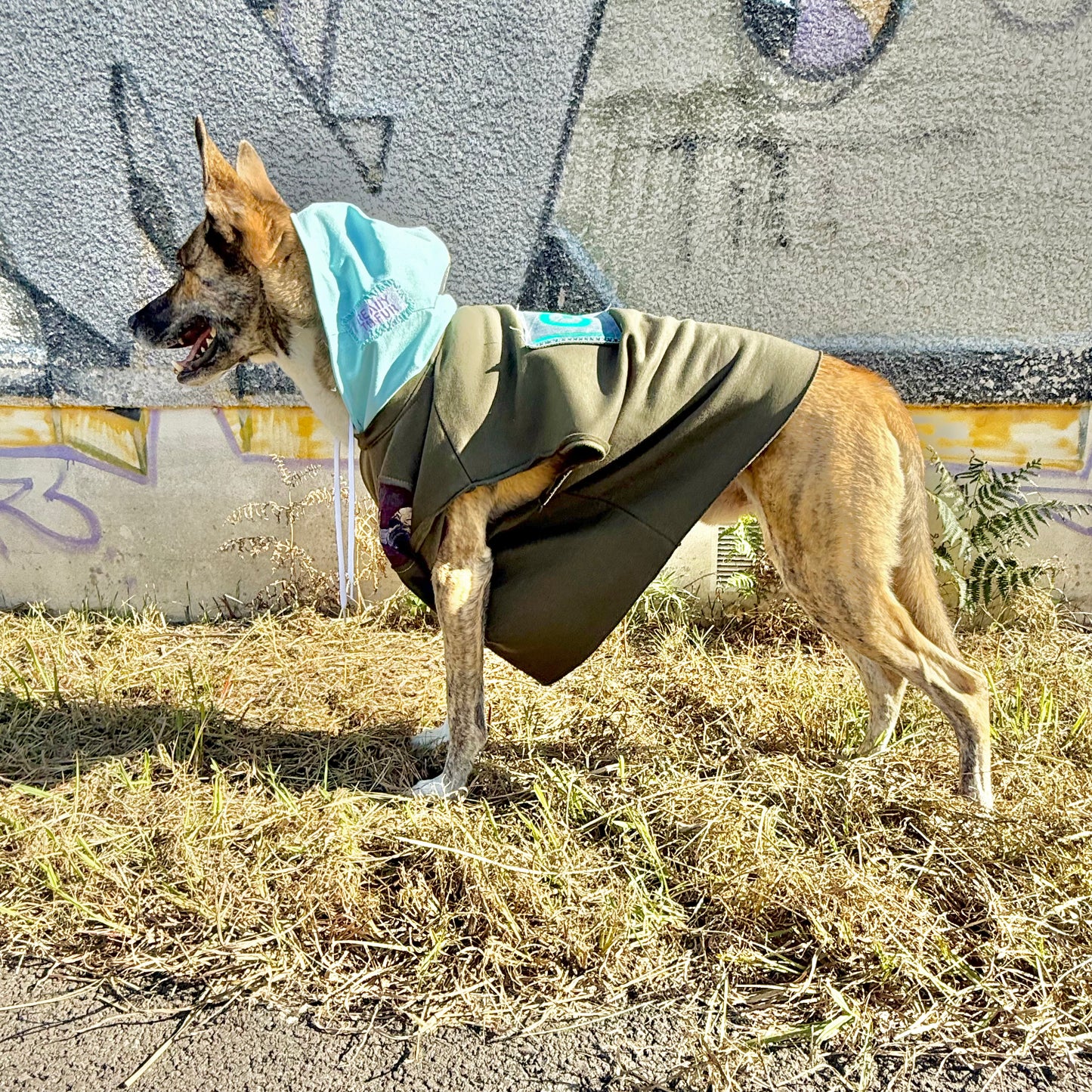 Dog Hoodie MOGLI — Size L/XL
