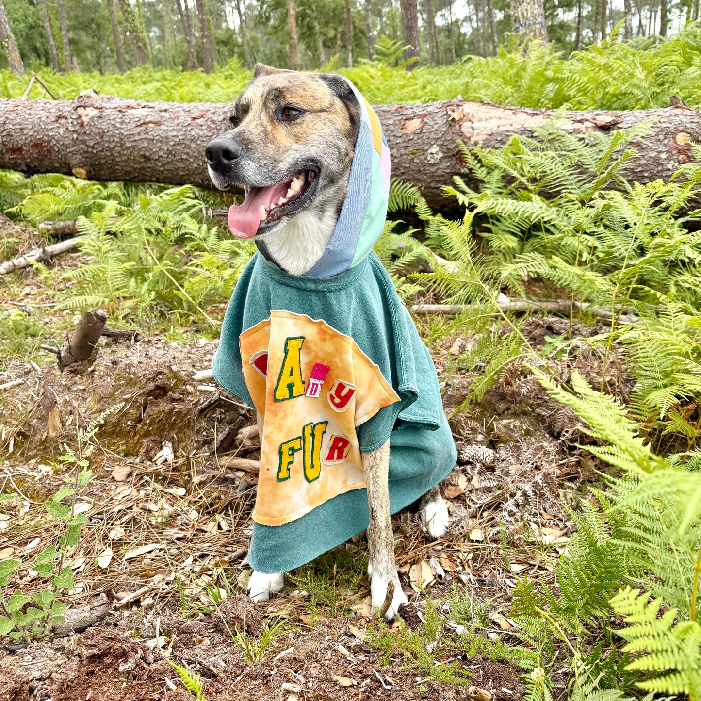 Dog Hoodie FUREVER BESTIE — Size XL/2XL