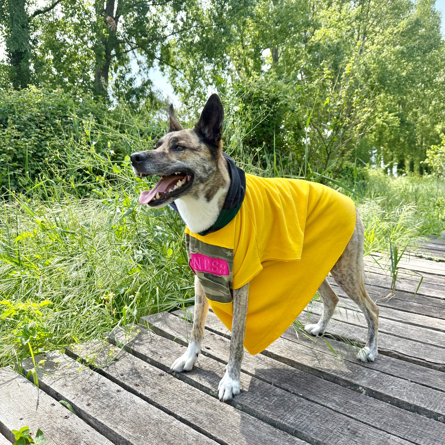 Dog Hoodie DON’T WORRY BE HAPPY — Size L/XL
