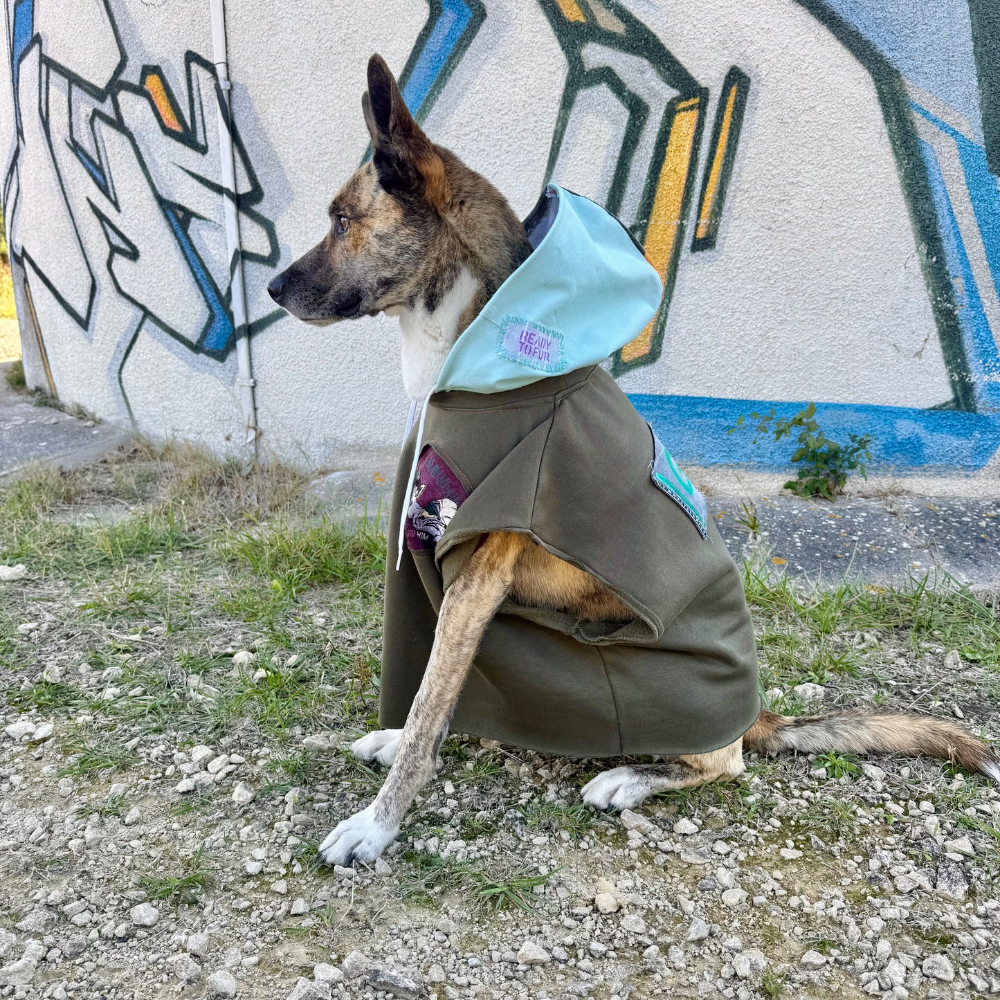 Dog Hoodie MOGLI — Size L/XL