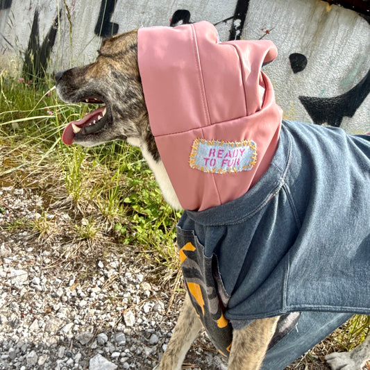 Dog Hoodie DO YOU — Size L/XL
