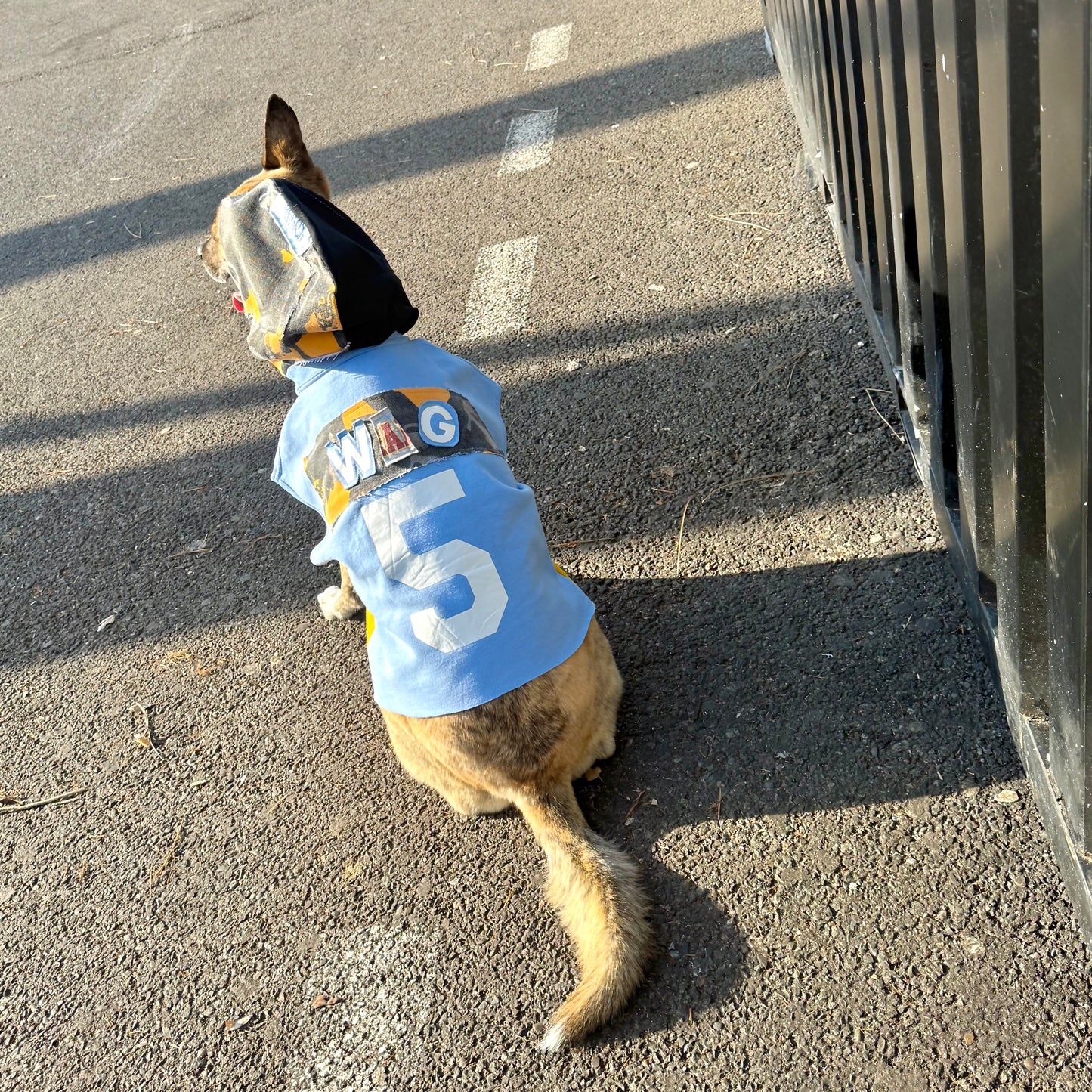 Dog Hoodie MAJOR WAG 5 — Size M/L