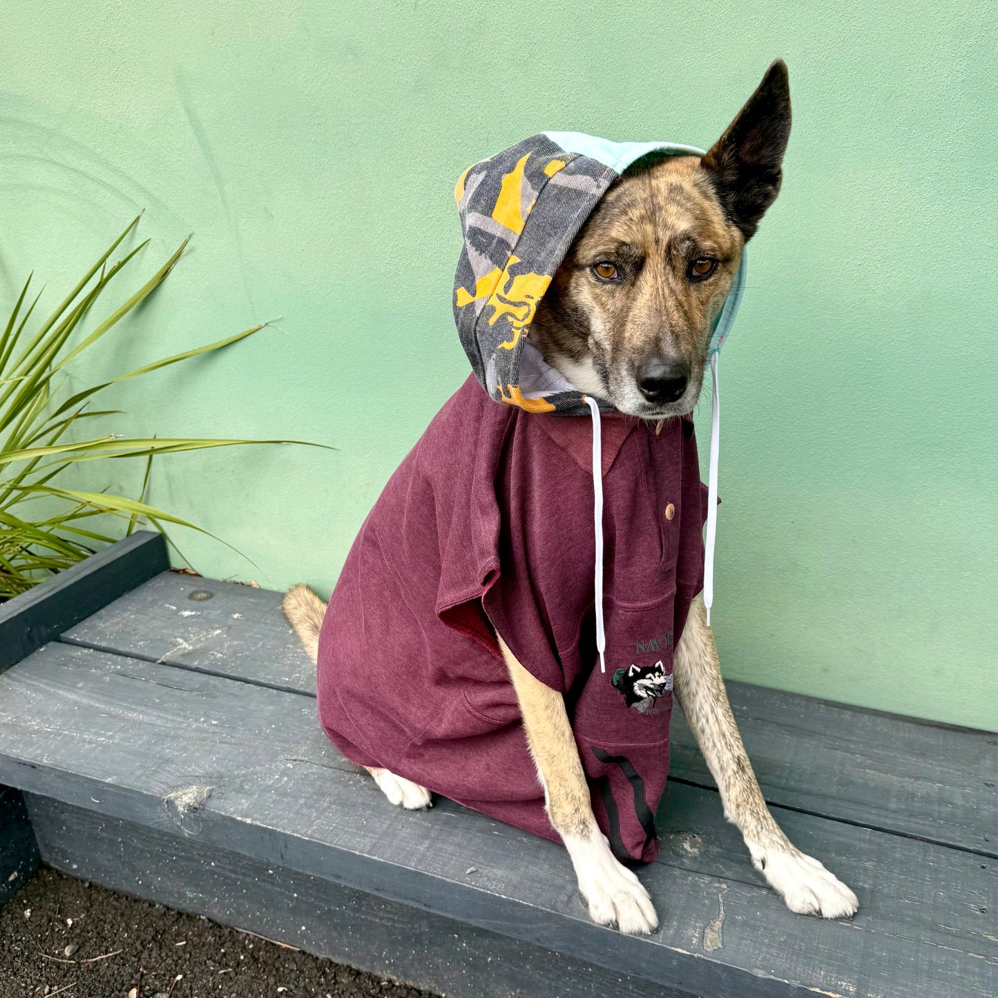 Dog Hoodie MOGLI — Size L/XL