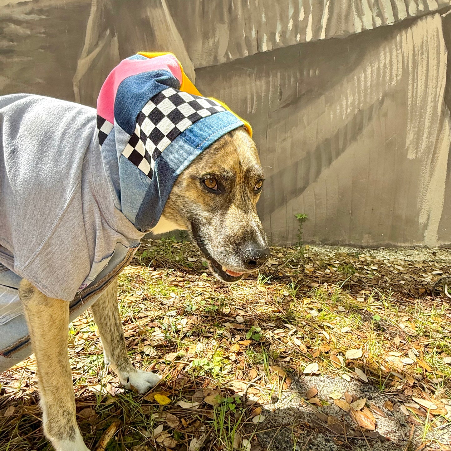 Dog Hoodie MISTY — Size M/L