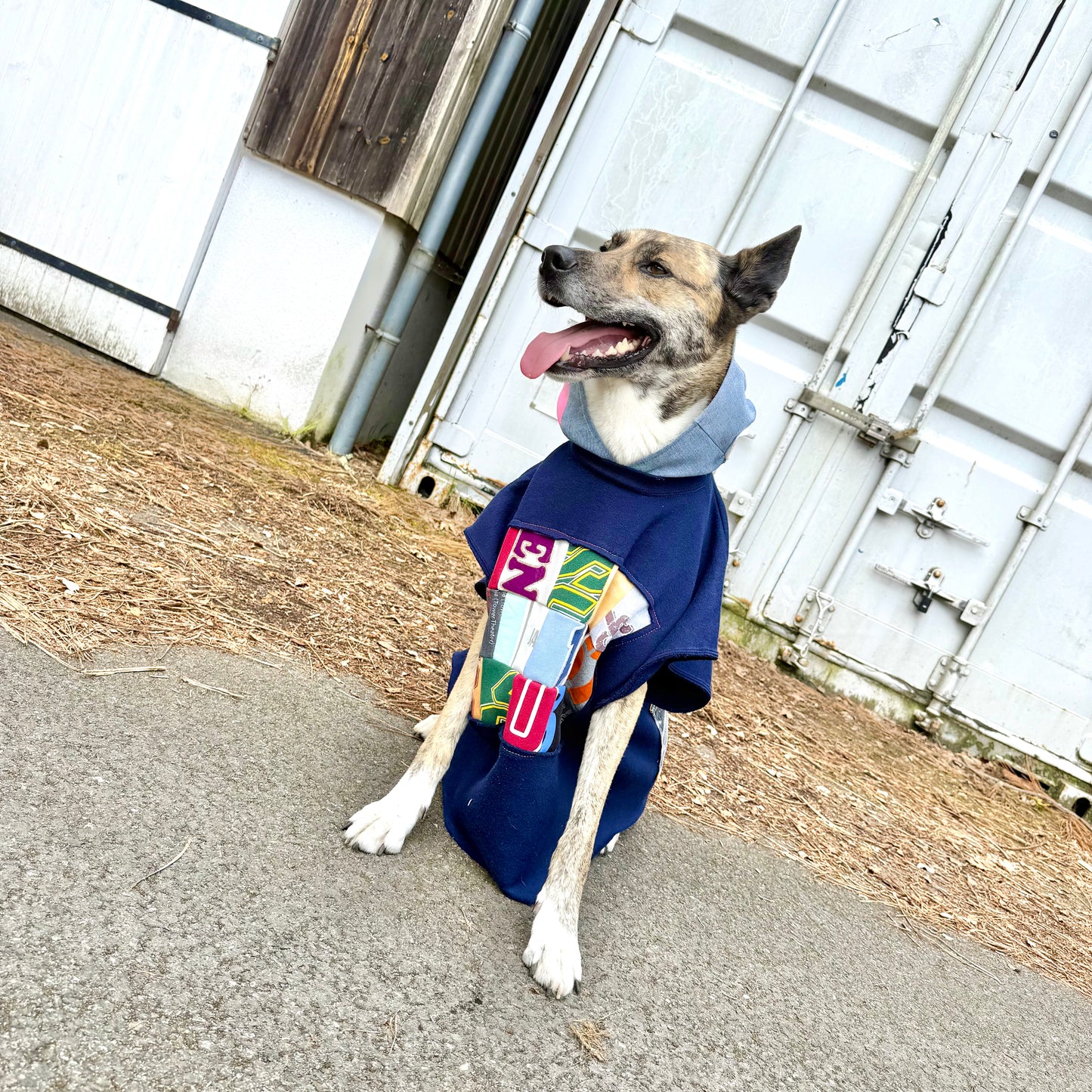 Dog Hoodie OG — Size L/XL