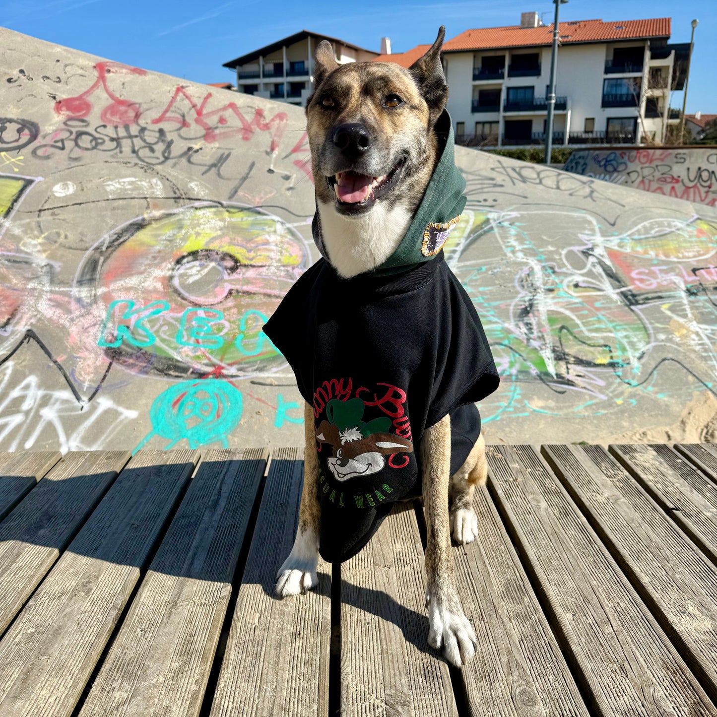 Dog Hoodie SNOOPY — Size M/L