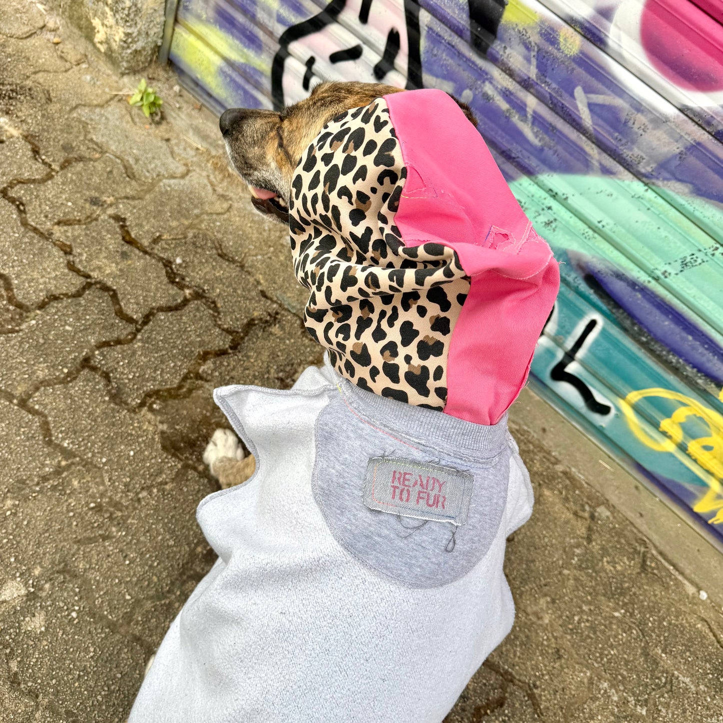 Dog Hoodie ALPHA GLAM PAWD — Size L/XL