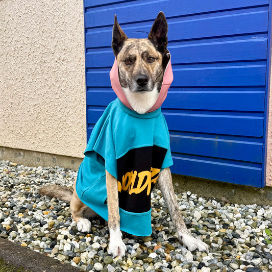 LULU — Dog Hoodie M/L