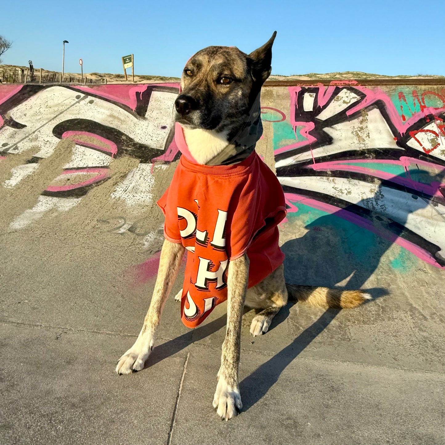 Dog Hoodie LULU — Size M/L