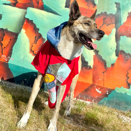 Dog Hoodie RIOT — Size L/XL