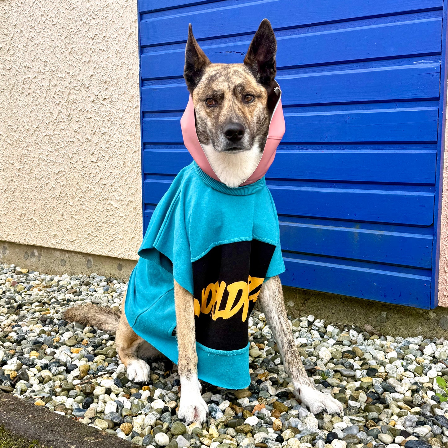 Dog Hoodie PRINCESA — Size M/L