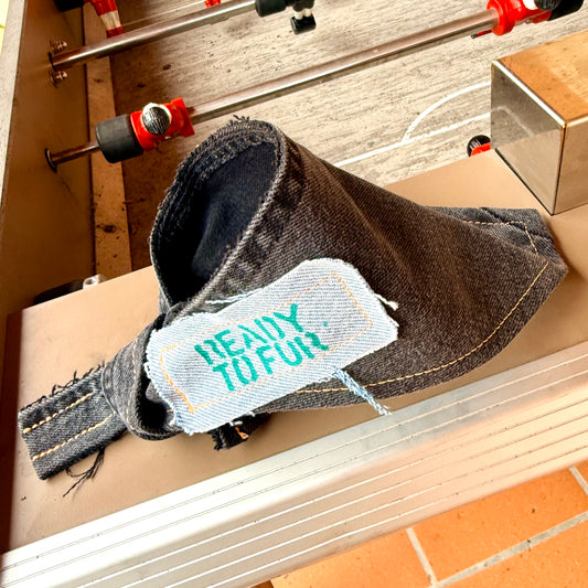 JET — Dog Bandana Size S