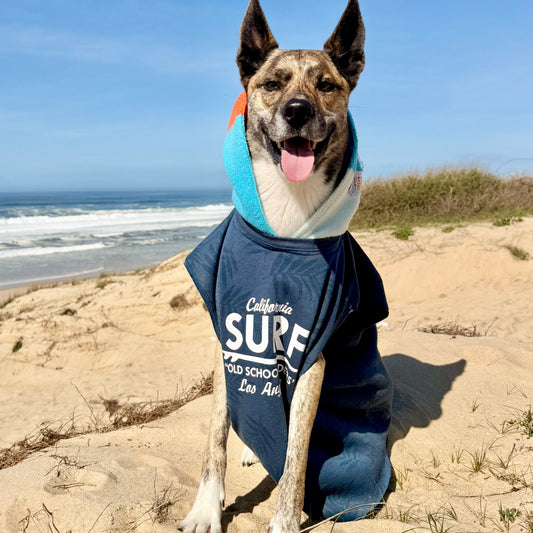Dog Hoodie BEACH BUM — Size L/XL