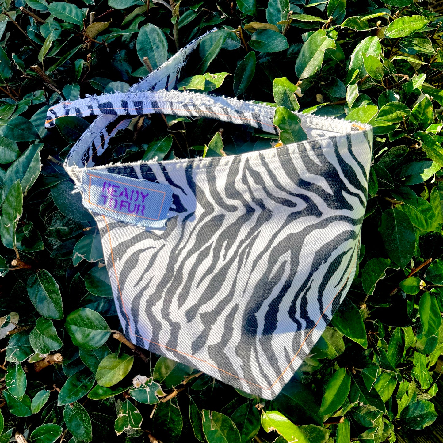 RUCKUS — Dog Bandana Size XL