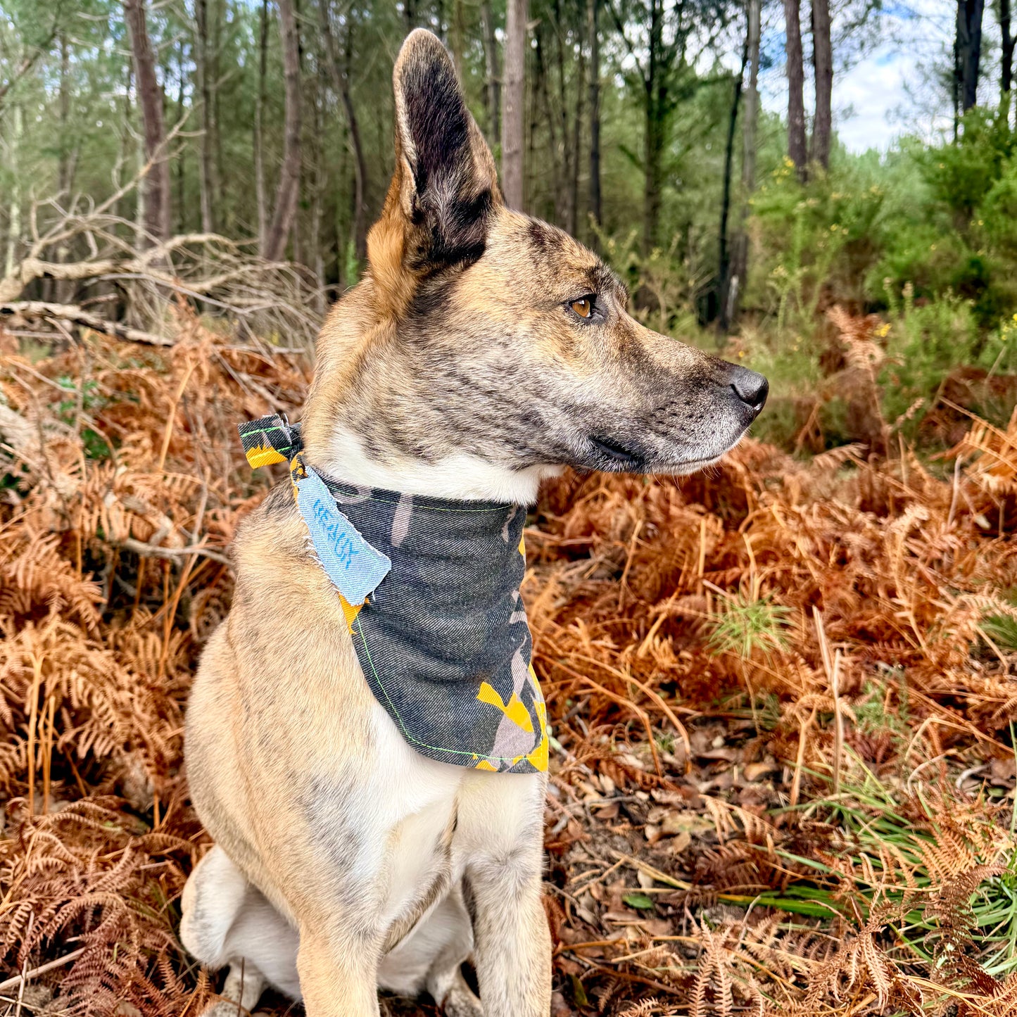 REBEL — Dog Bandana Size L