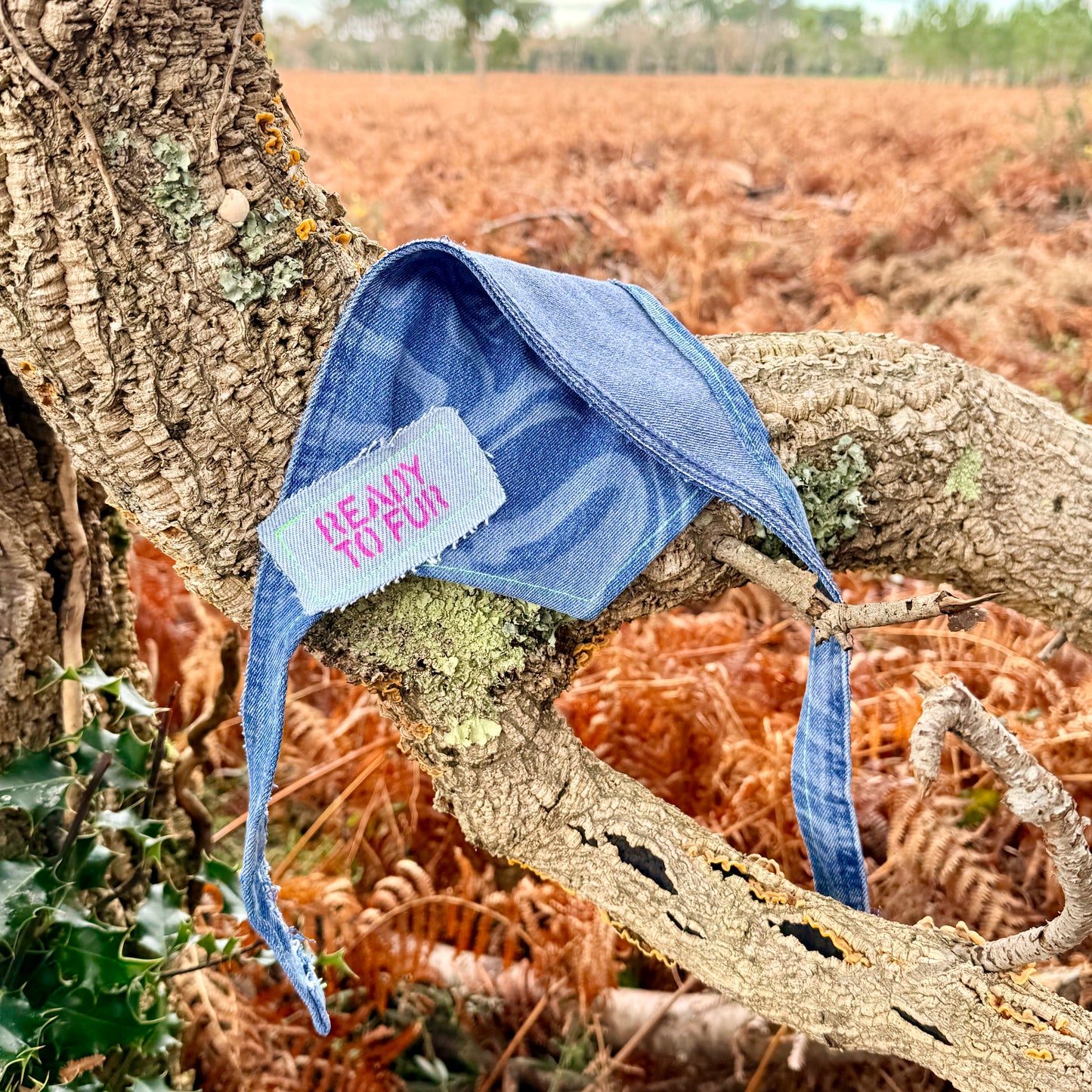 BOLT — Dog Bandana Size M