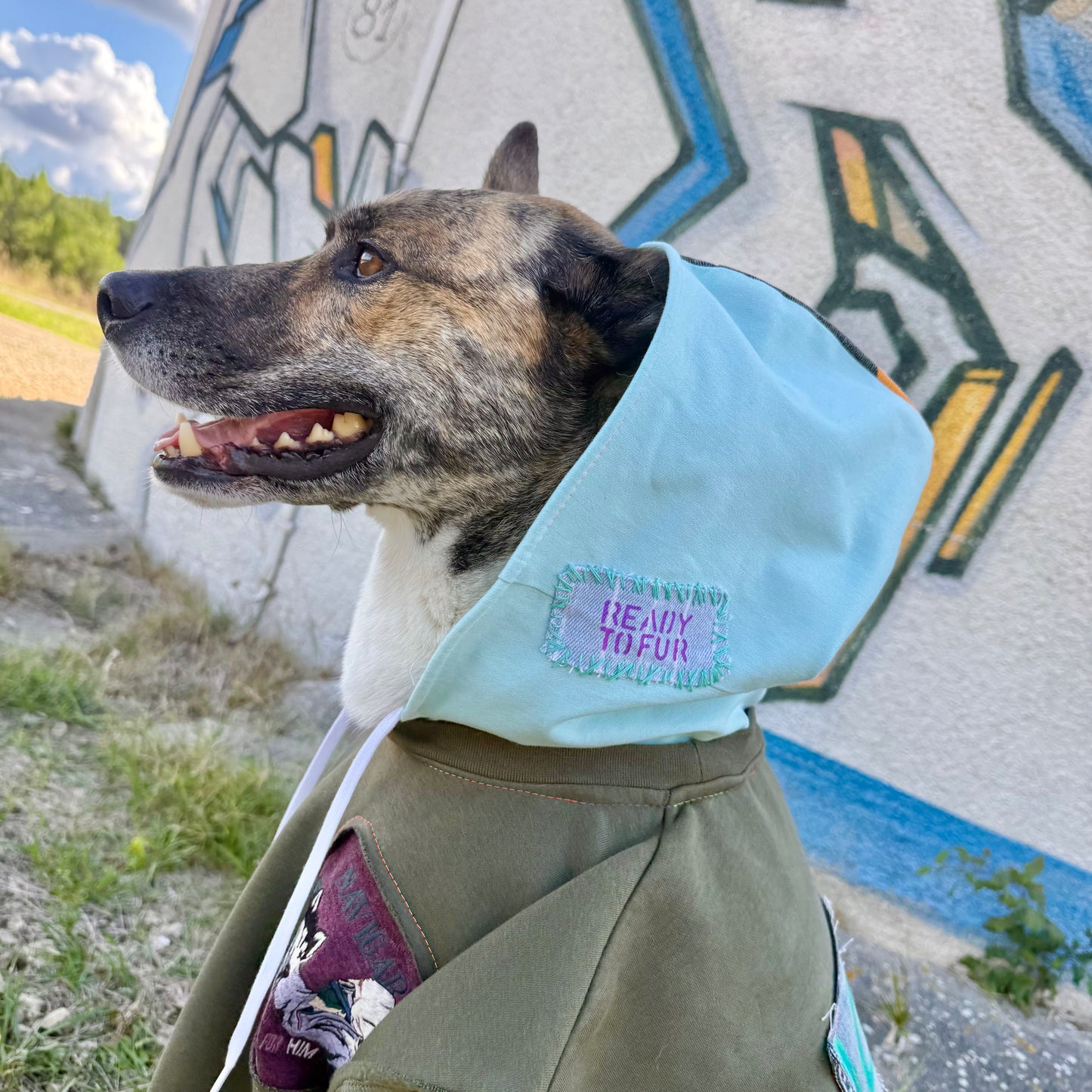 Dog Hoodie MOGLI — Size L/XL