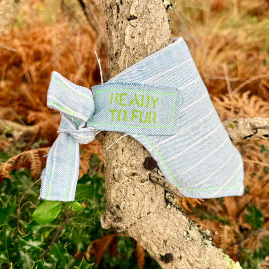 STRUT — Dog Bandana Size S