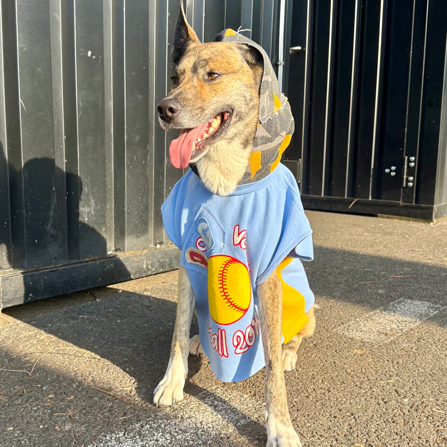 Dog Hoodie MAJOR WAG 5 — Size M/L