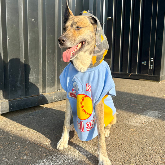 Dog Hoodie MAJOR WAG 5 — Size M/L