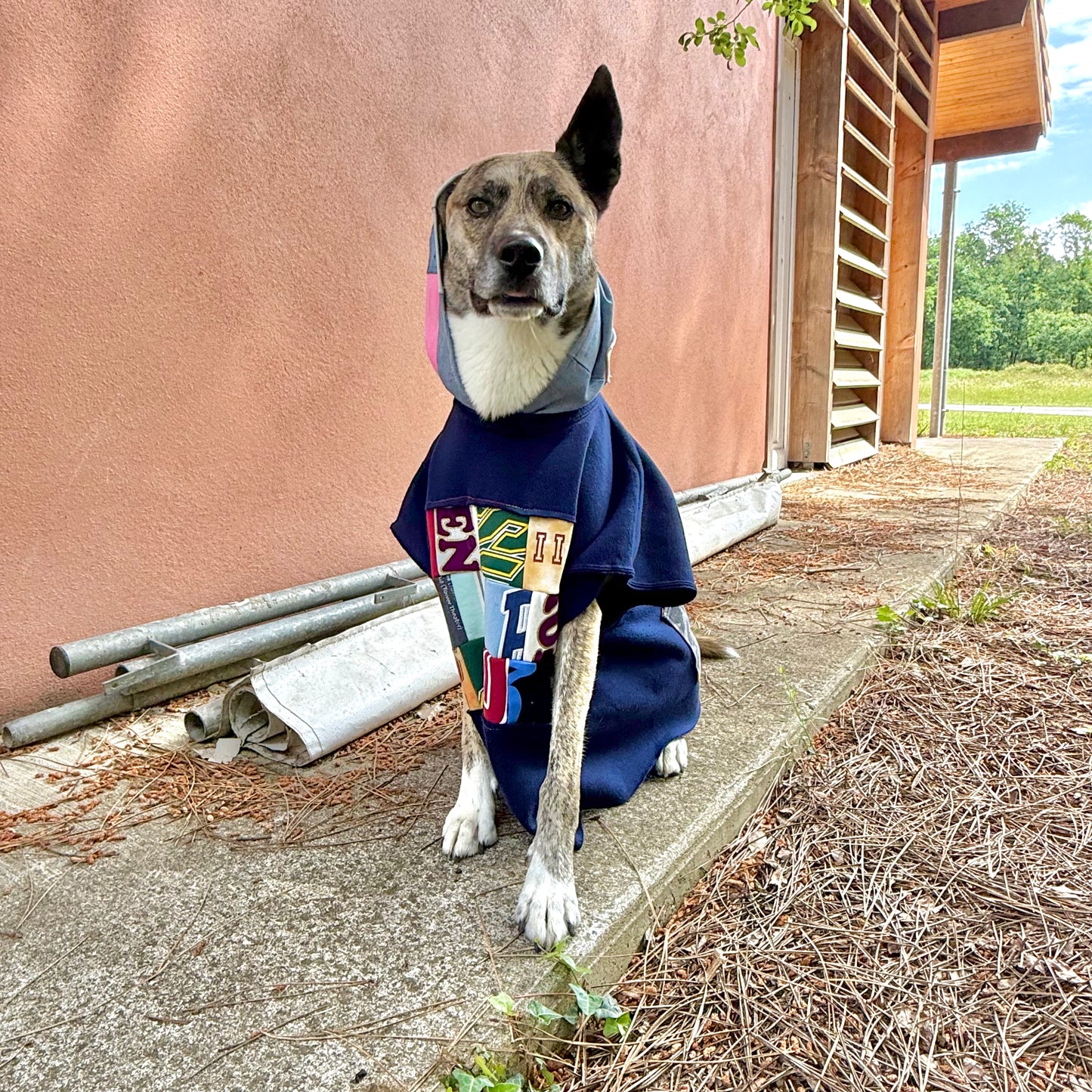 Dog Hoodie OG — Size L/XL