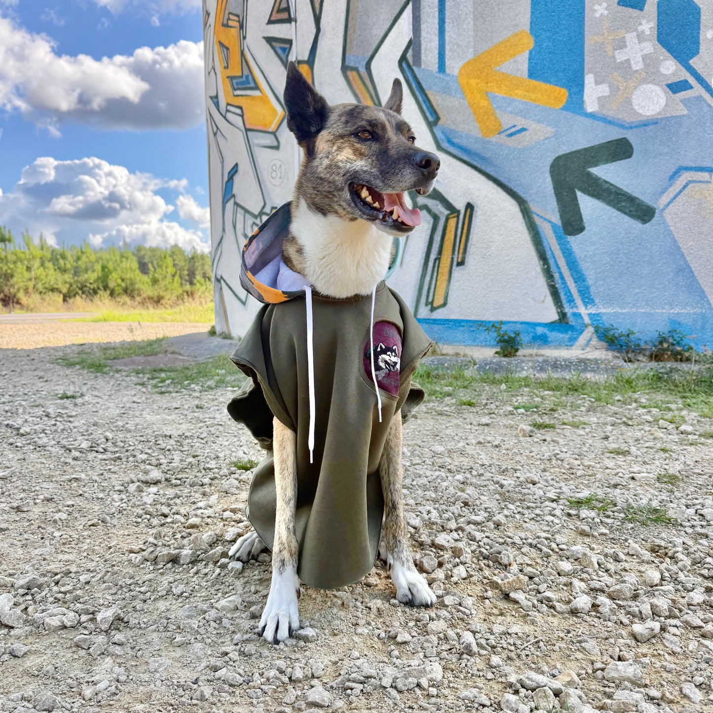 Dog Hoodie MOGLI — Size L/XL