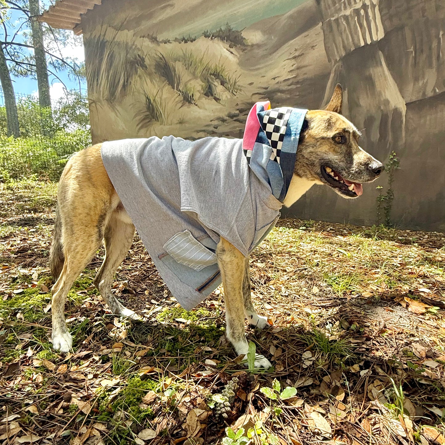 Dog Hoodie MISTY — Size M/L