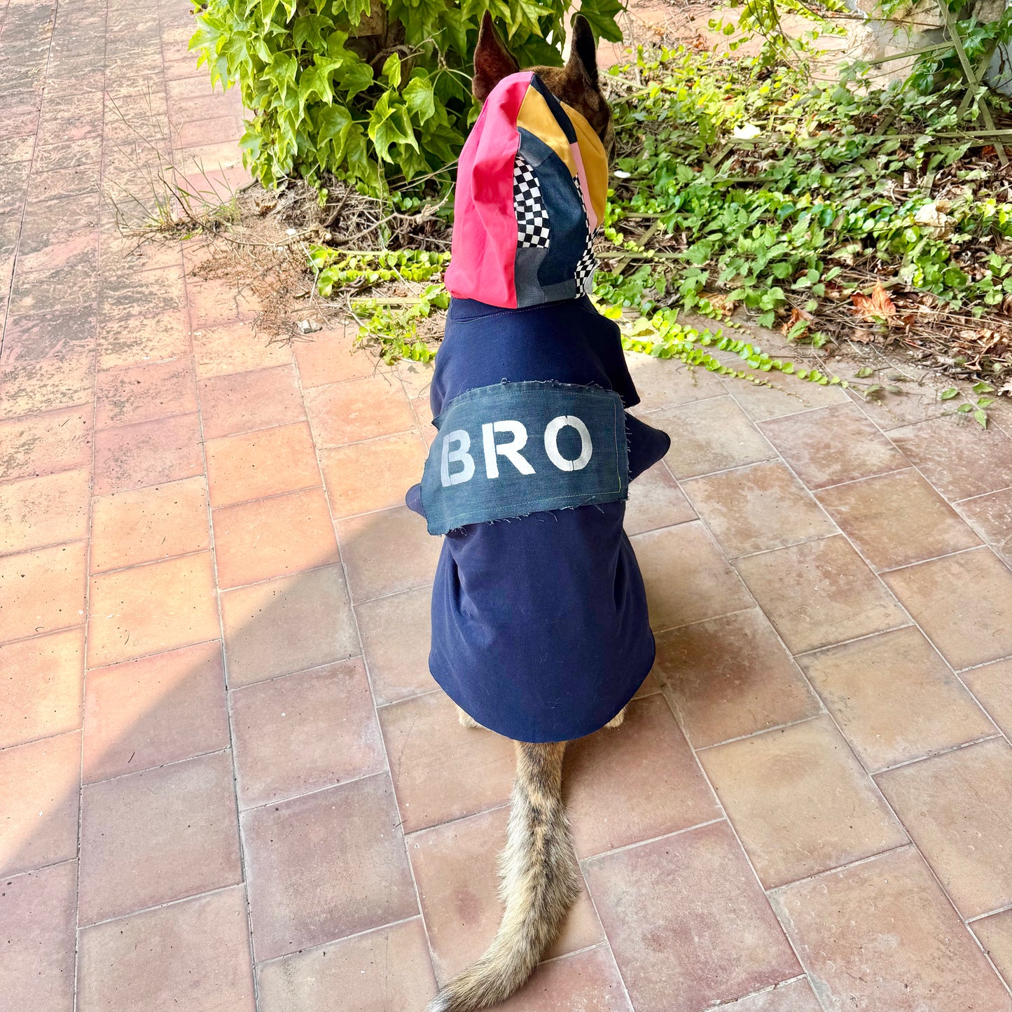 Dog Hoodie CHILL BRO — Size L/XL