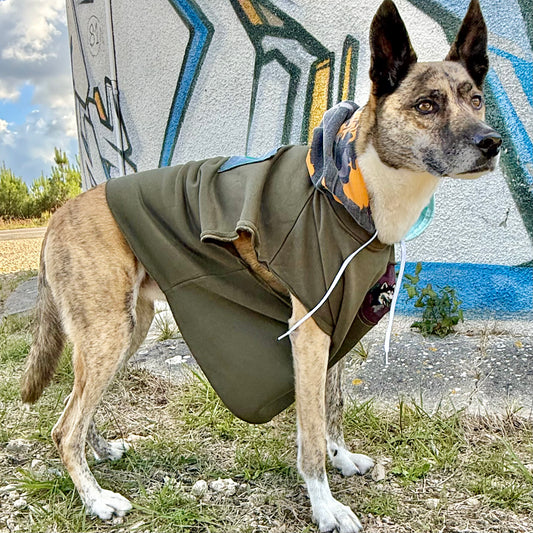 Dog Hoodie MOGLI — Size L/XL