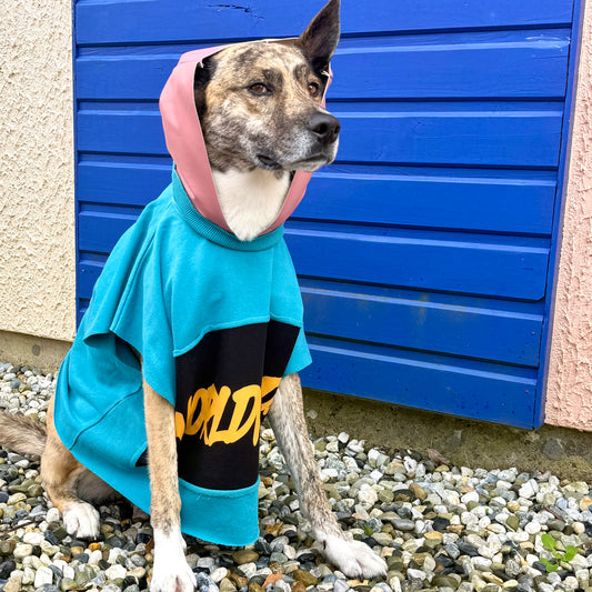 Dog Hoodie PRINCESA — Size M/L