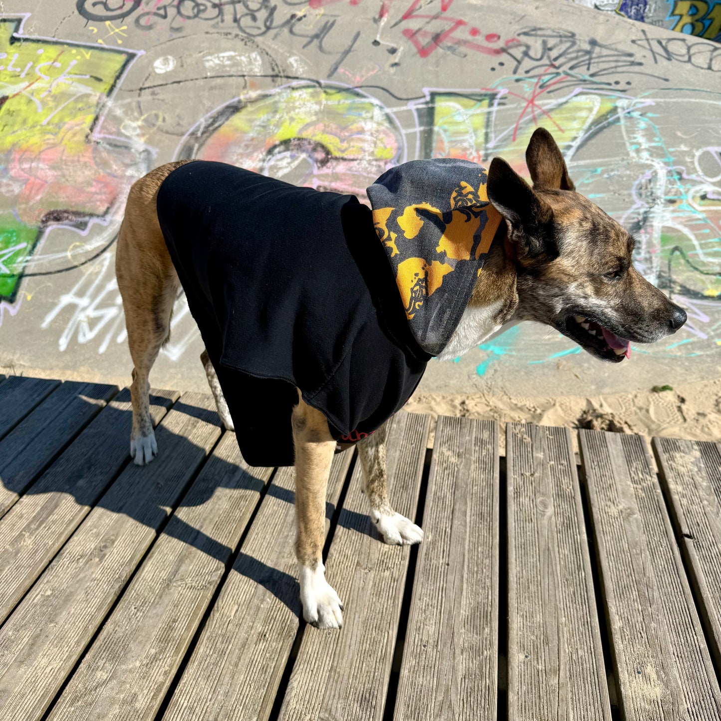 SNOOPY — Dog Hoodie Size M/L