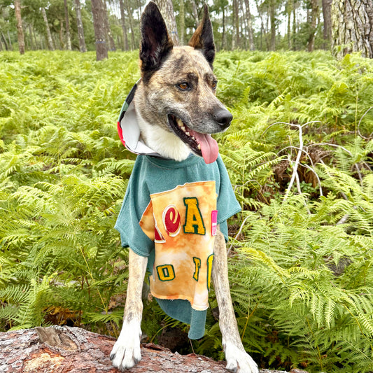 Dog Hoodie FUREVER BESTIE — Size XL/2XL