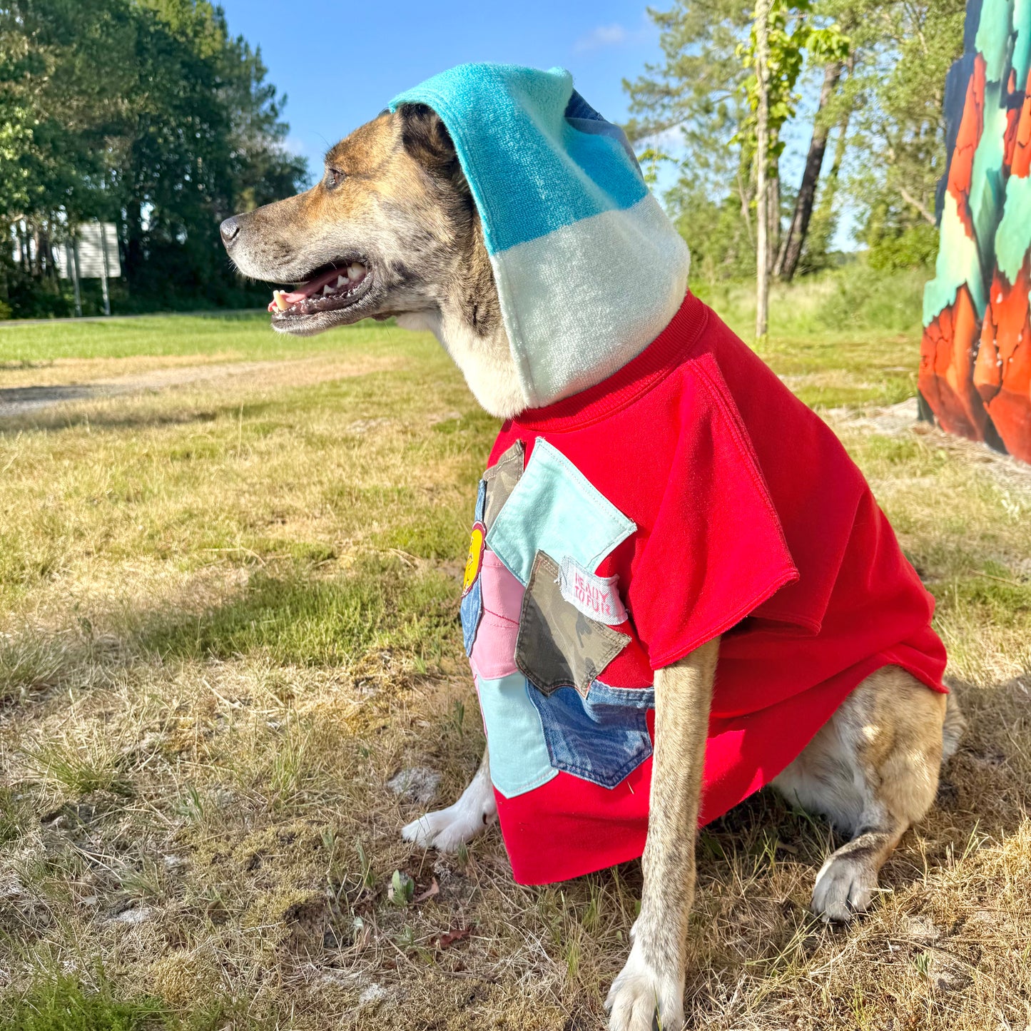 Dog Hoodie RIOT — Size L/XL