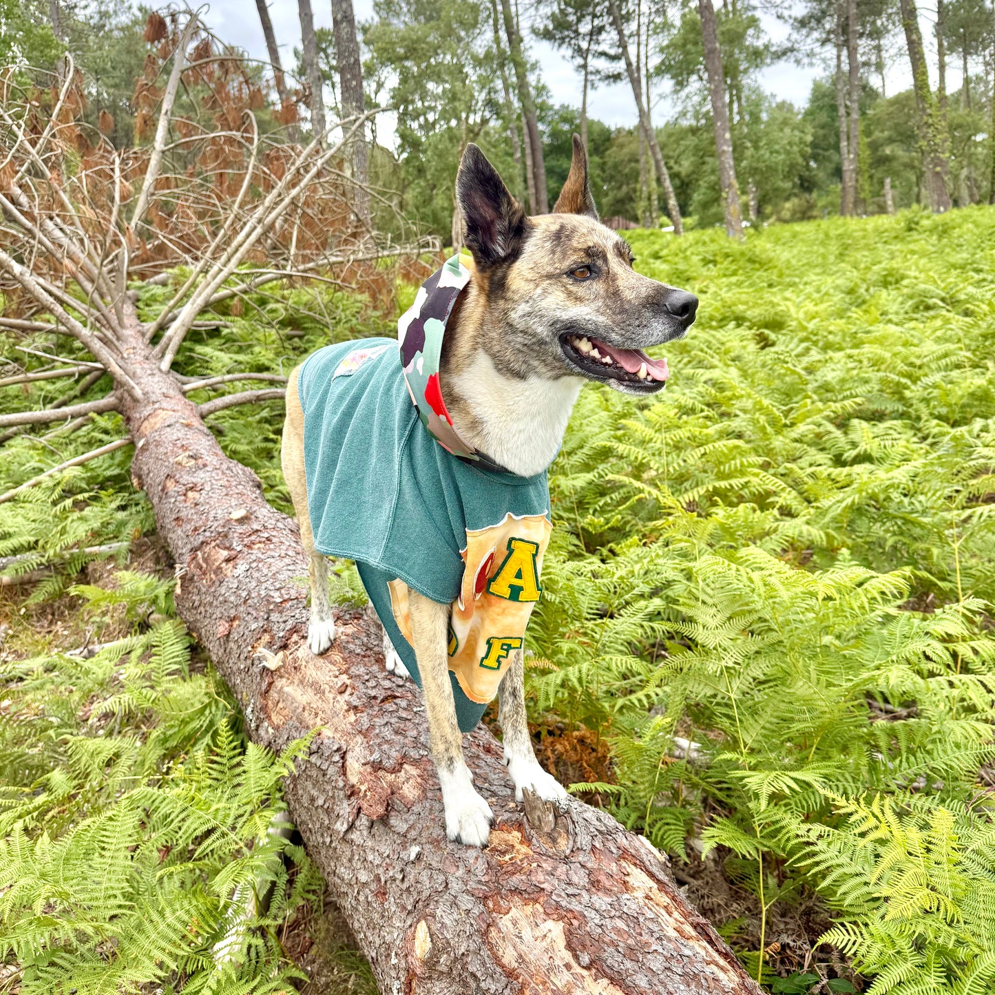 Dog Hoodie FUREVER BESTIE — Size XL/2XL