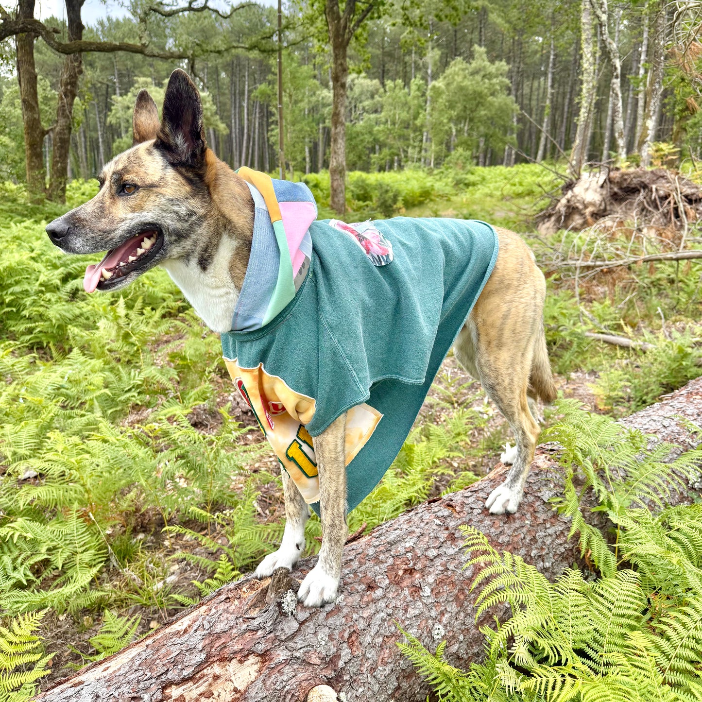 Dog Hoodie FUREVER BESTIE — Size XL/2XL