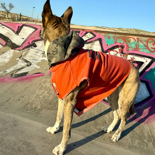Dog Hoodie LULU — Size M/L