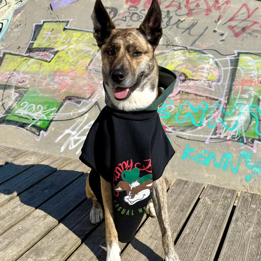 Dog Hoodie SNOOPY — Size M/L