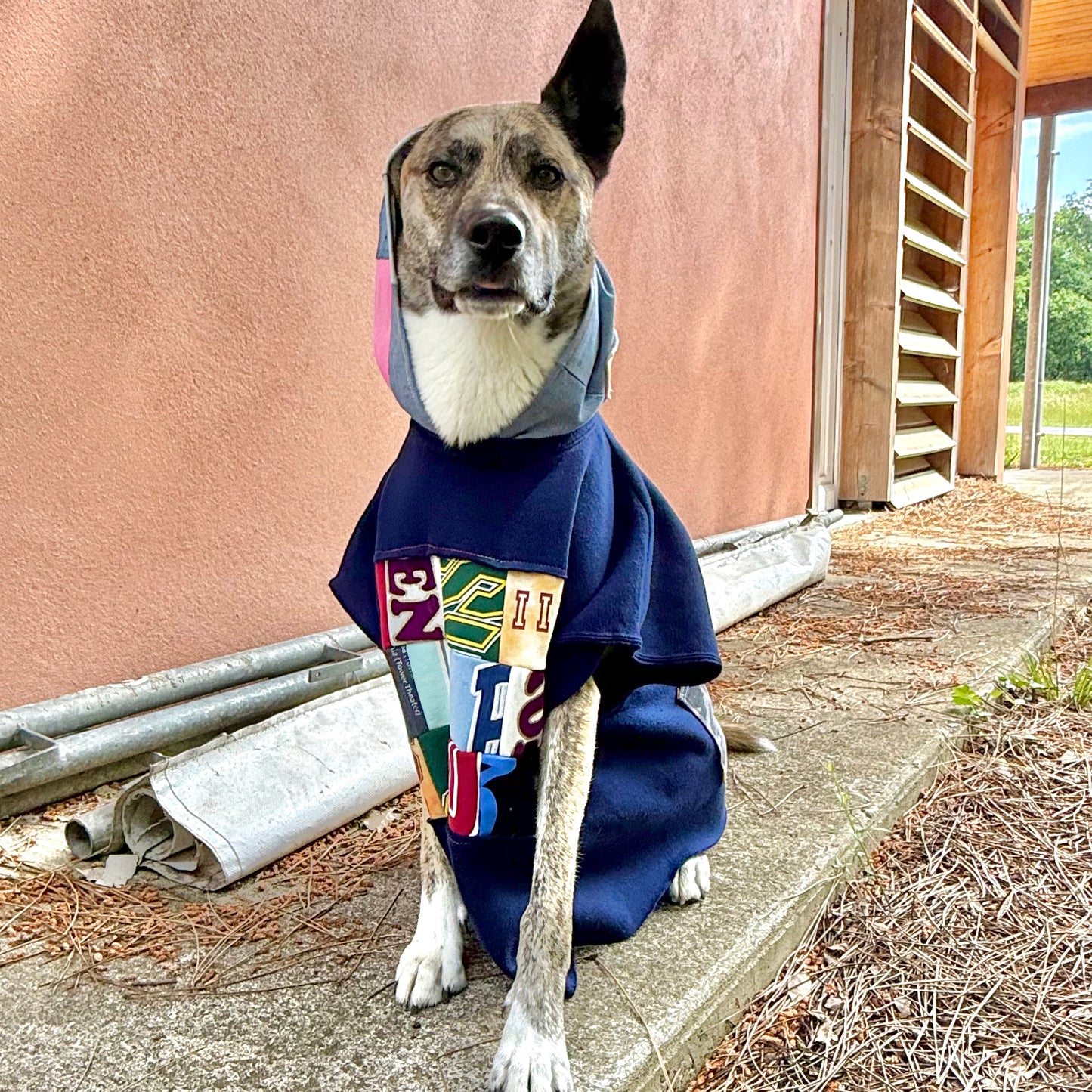 Dog Hoodie OG — Size L/XL