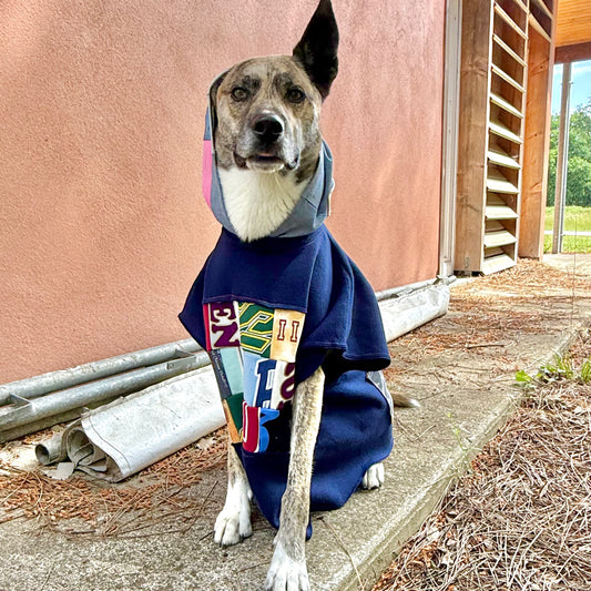 Dog Hoodie OG — Size L/XL