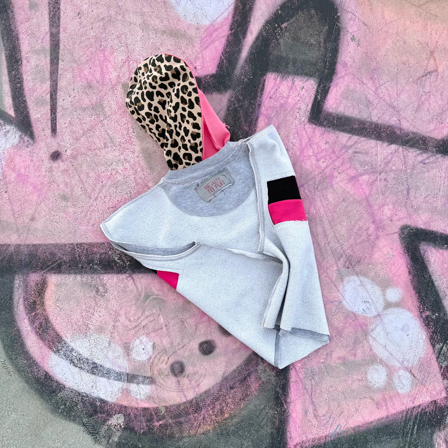 Dog Hoodie ALPHA GLAM PAWD — Size L/XL