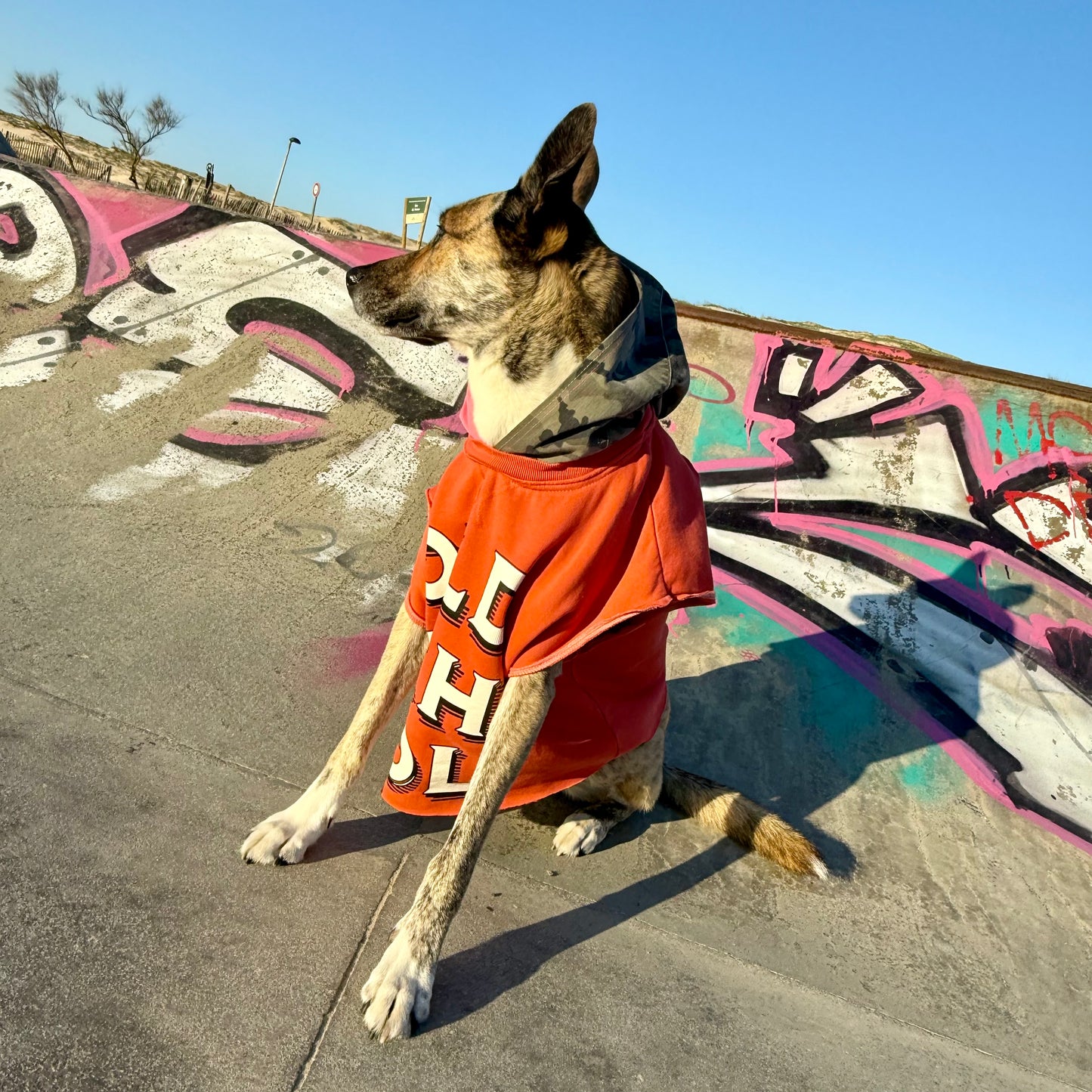 Dog Hoodie LULU — Size M/L