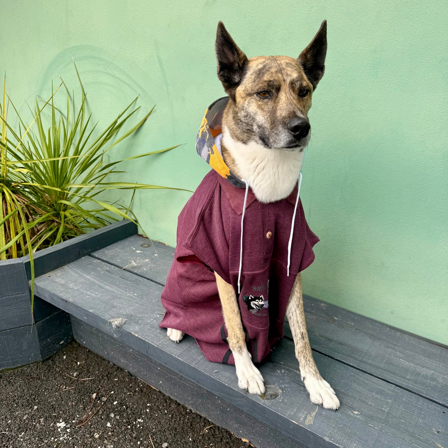 Dog Hoodie MOGLI — Size L/XL