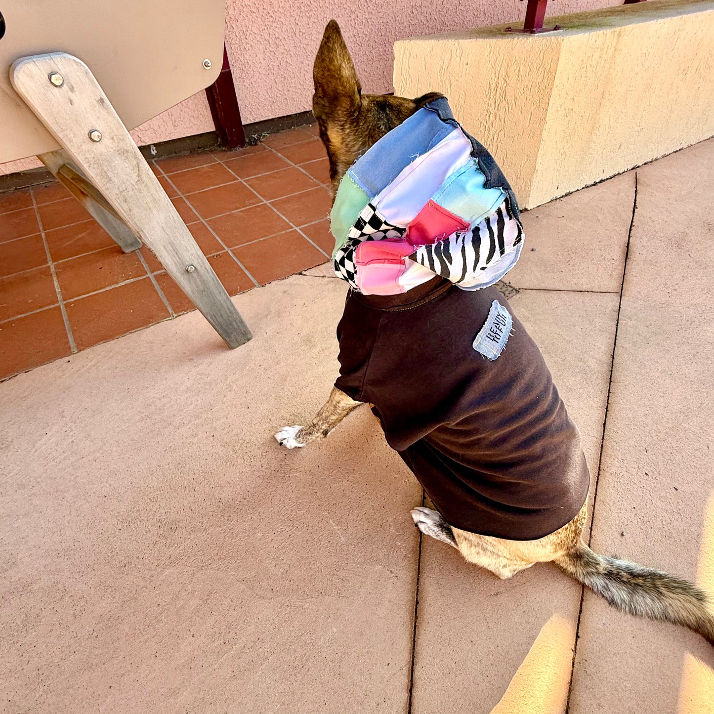 Dog Hoodie CHICO — Size M/L