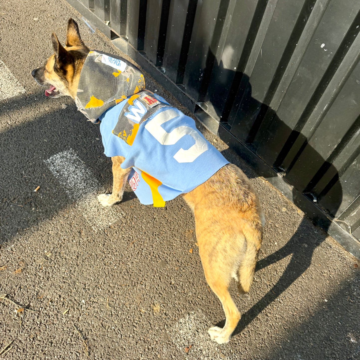 Dog Hoodie MAJOR WAG 5 — Size M/L