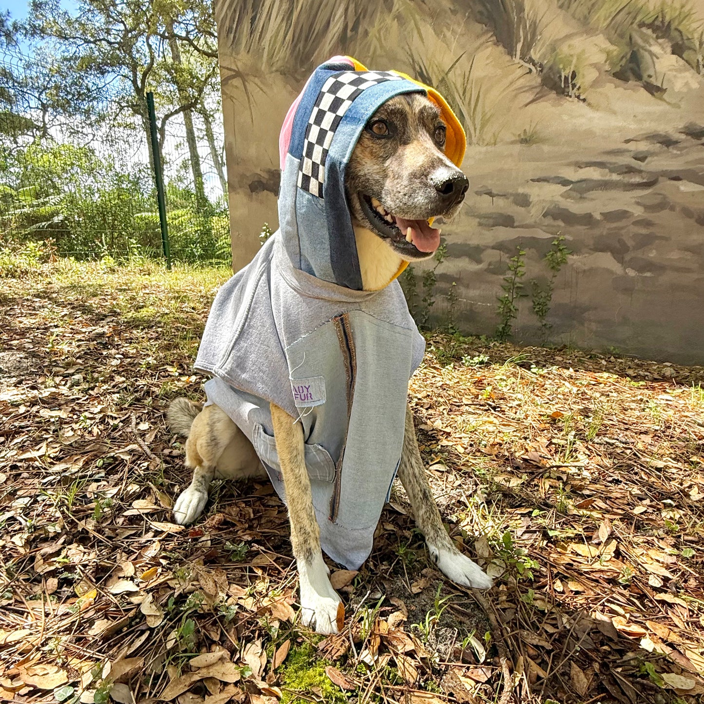 Dog Hoodie MISTY — Size M/L